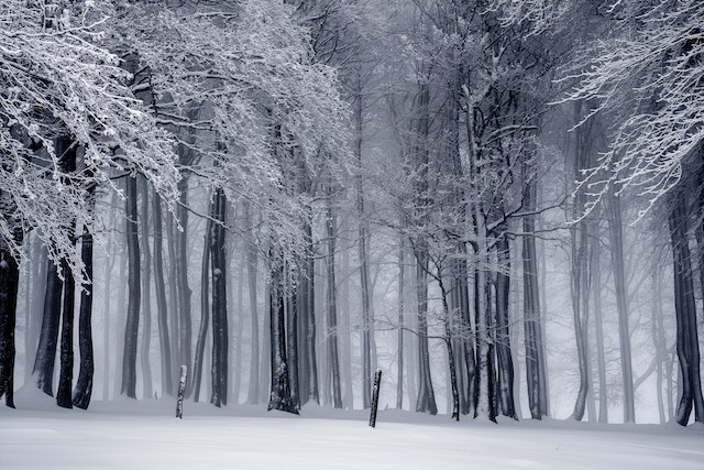 Is it cold outside? Don’t sit at home and go out!
